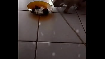 Gadis Seksi Yang Menggoda