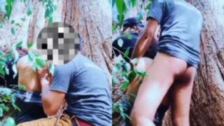 Pasangan Mesum Bercinta Liar Di Bawah Pohon Rindang