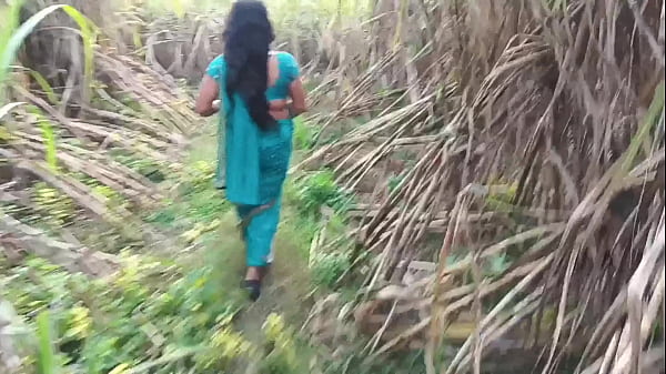 Ngentot Istri Orang Di Kebun Tebu, Makin Kencang Makin Basah, Bikin Mampus